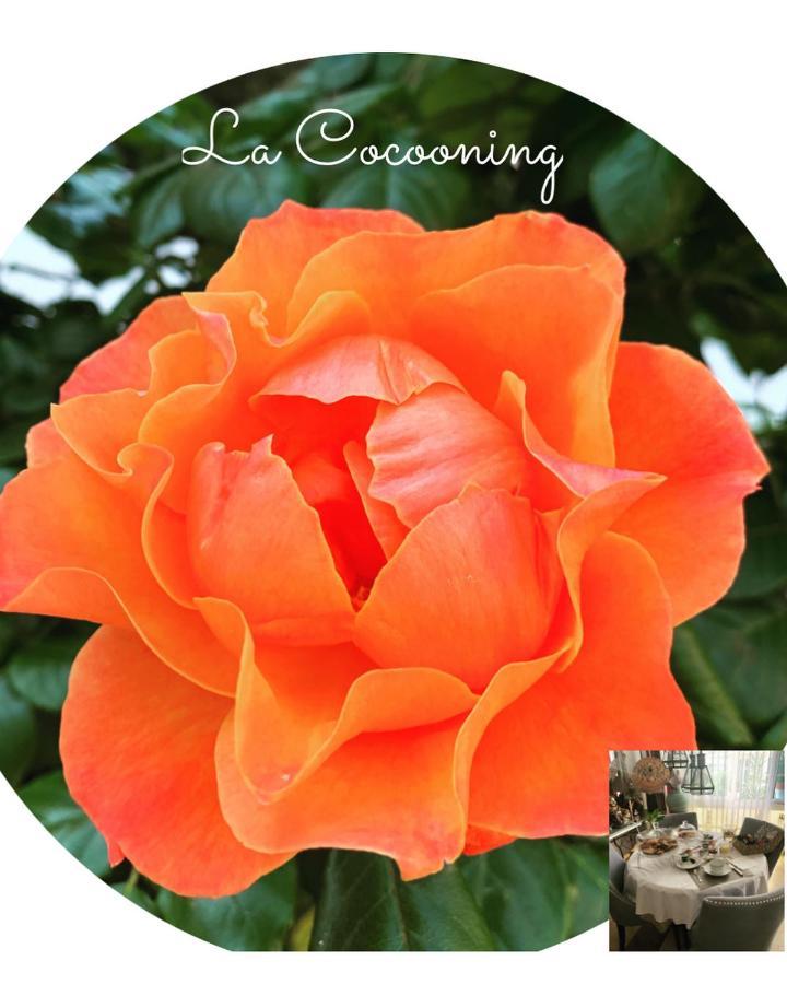 Chambre Et Salle De Bain Cocooning Labellisee Nice Exterior photo